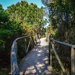 Cozy Flat With Private Parking In Rosolina Mare